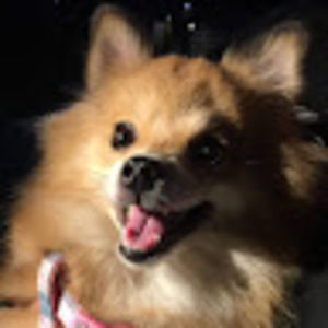 Meet your Posher, Frances